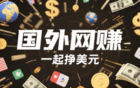 VIP 国外赚钱项目