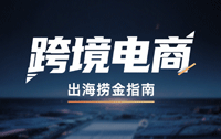 VIP 跨境电商