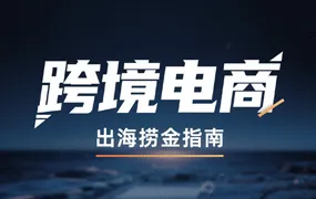 VIP 跨境电商