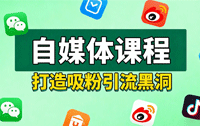VIP 自媒体/吸粉引流
