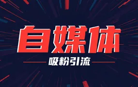 VIP 自媒体/吸粉引流