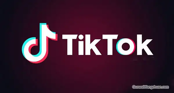 TikTok账号运营策略入门教程-国外网赚博客