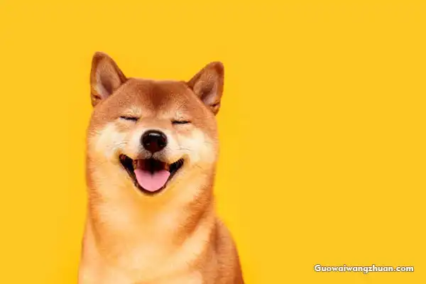 狗狗币Dogecoin会超越比特币Bitcoin吗