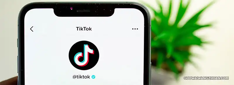 TikTok最新标签#BookTok掀新风潮，变成传统纸本媒体的救世主