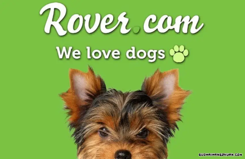 Rover：让宠物得到最好的照顾，同时赚取额外收入