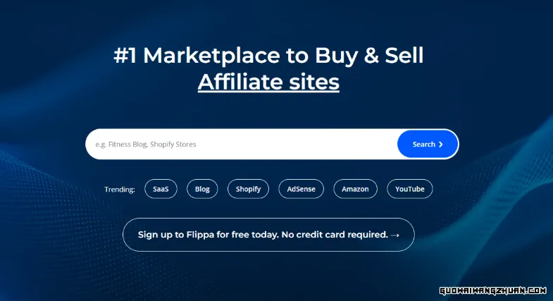 Flippa赚钱：如何通过买卖网站实现财富增值