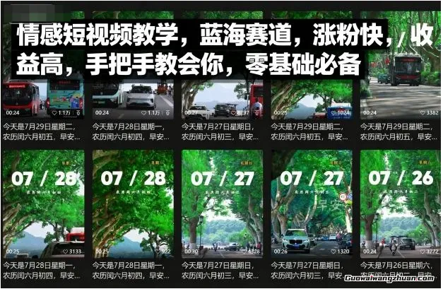 情感短视频教学，蓝海赛道，涨粉快，收益高，手把手教会你，零基础必备