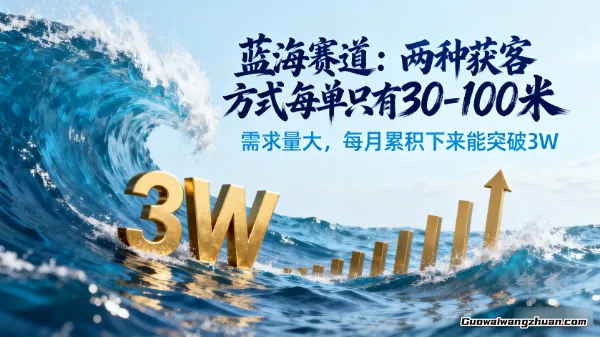 蓝海赛道：两种获客方式每单只有30-100米，需求量大，每月累积下来能突破3W