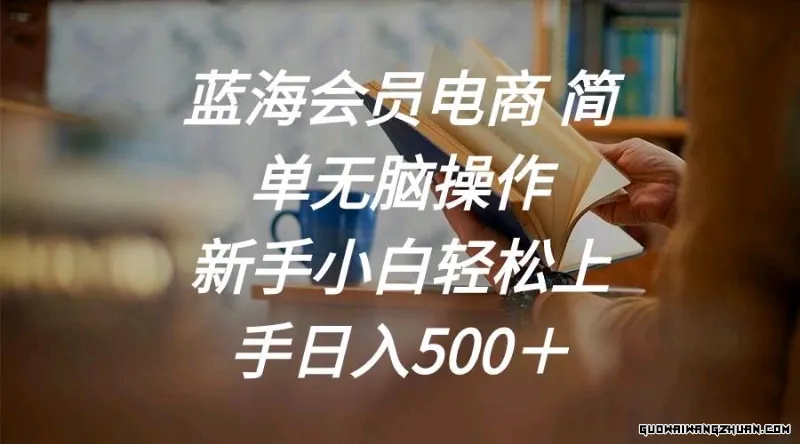 蓝海会员电商 简单无脑操作 新手小白轻松上手日入500＋