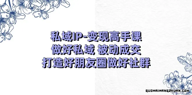 私域IP变现高手课：做好私域被动成交，打造好朋友圈做好社群（18节）