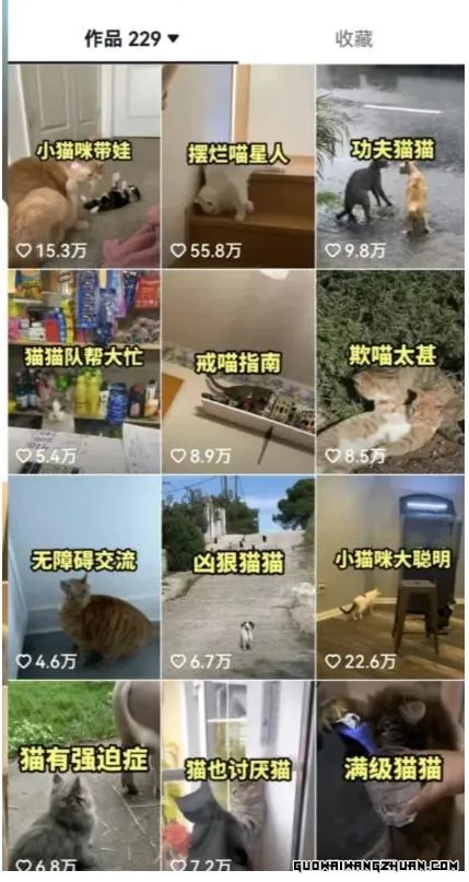 拆解：抖音盘点类中视频变现副业项目，视频版一条龙大解析分享给你