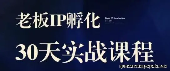 诸葛·老板IP实战课，实体同城引流获客，IP孵化必听