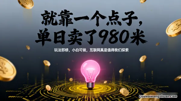 就靠一个点子，单日卖了980米，玩法邪修，小白可做，互联网真是值得我们探索