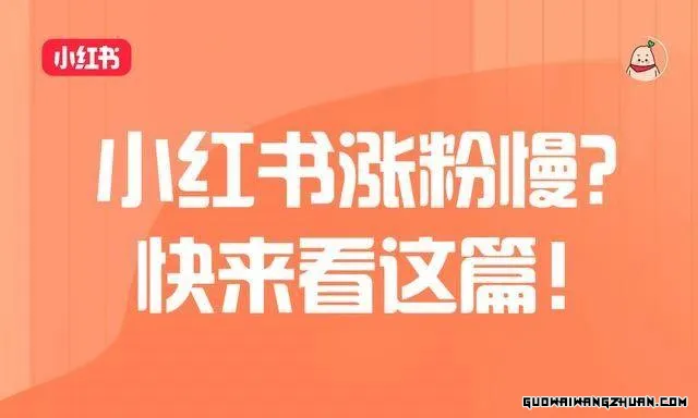 【实战攻略】小红书怎么涨粉？5大秘籍助你快速破万！