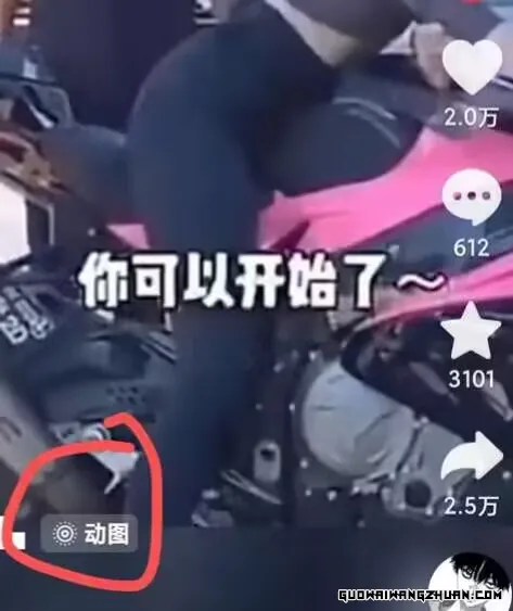 2024年7月苹果手机动图搬运技术