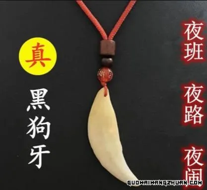 揭秘冷门赛道：探寻几个偏门却暴利的黄金商机