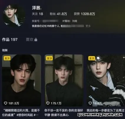 打造AI批量帅哥IP项目：解锁月入十万+的财富密码