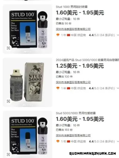 【独享攻略】独立站截留google品牌词，月赚1000美金实战教程