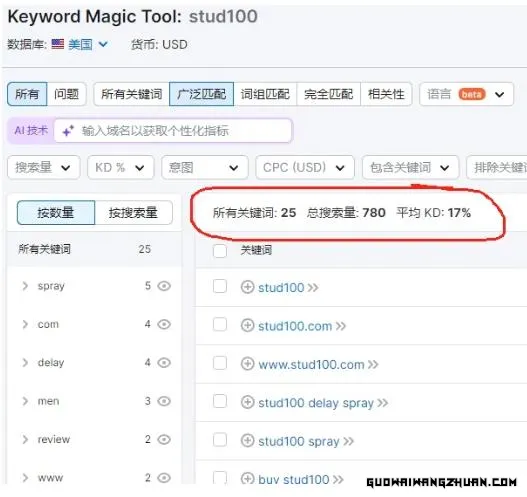 【独享攻略】独立站截留google品牌词，月赚1000美金实战教程