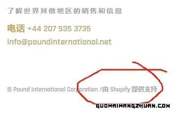 【独享攻略】独立站截留google品牌词，月赚1000美金实战教程