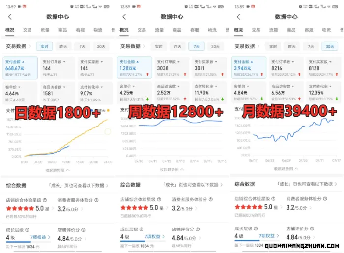 拼多多虚拟店铺项目，电脑挂机自动发货，单店日利润300+