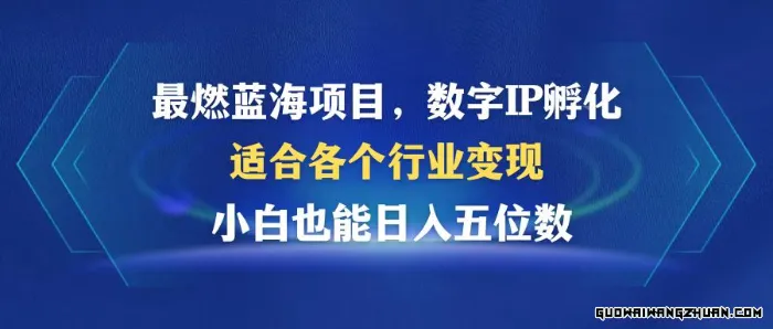 超燃蓝海项目：数字IP孵化，适合各个行业变现，小白也能日入5位数