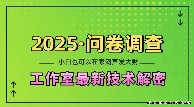 2025问卷调查全新工作室技术解密：一个人在家也可以闷声发大财，小白一天2张，可矩阵放大