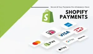 Shopify独立站Paypal Checkout信用卡支付插件，轻松解锁海外买家的信用卡付款方式