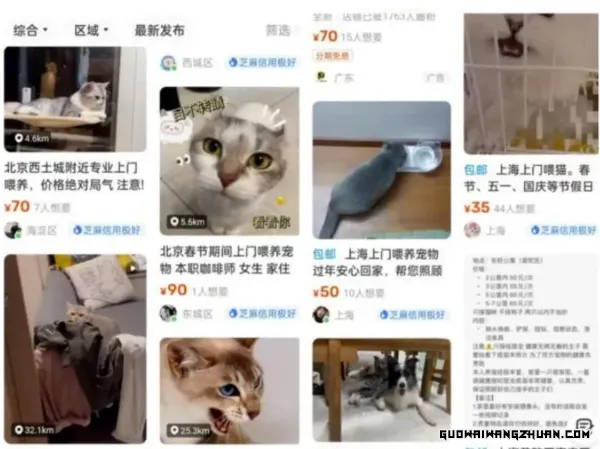轻创业新机遇：探秘宠物行业冷门市场——宠物寄养服务