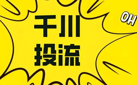 一人公司逆袭记：用聚光投放策略，一年时间从小红书斩获4万客户，深度复盘揭秘！