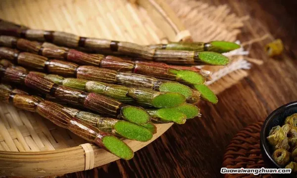 揭秘！2024年农村种植这5种药材，亩收益超10万的暴利项目（附真实案例）