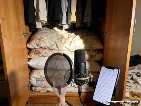 那帮躲在衣柜里对着棉被自言自语的人，可能真的只是想把声音卖个好价钱