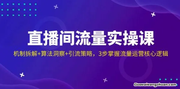 直播间流量实操课：机制拆解+算法洞察+引流策略，3步掌握流量运营核心逻辑