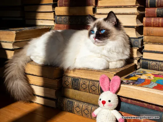 在家没事干做点什么赚钱？四面白墙里，我听见生活发出细小的声响