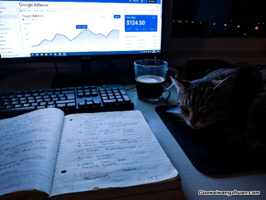 别信什么躺赚神话，真实的个人站长建站搞钱实录，全是血泪经验