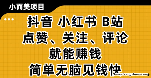 小而美的项目，抖音小红书B站视频点赞、关注、评论就能挣钱，简单无脑立见收益，妥妥的零撸项目