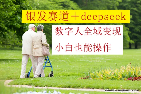 银发赛道+deepseek数字人全域变现，小白也能操作