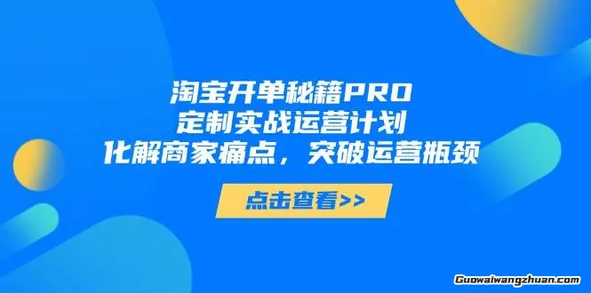 淘宝开单秘籍PRO，定制实战运营计划，化解商家痛点，突破运营瓶颈