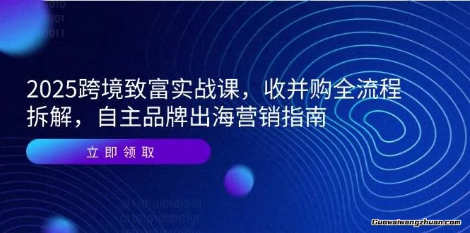 2025跨境致富实战课，收并购全流程拆解，自主品牌出海营销指南