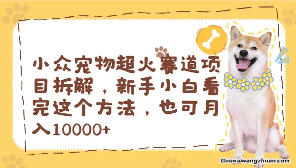小众宠物超火赛道项目拆解，新手小白看完这个方法，也可月入过w