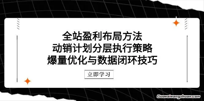 全站盈利布局方法：动销计划分层执行策略，爆量优化与数据闭环技巧