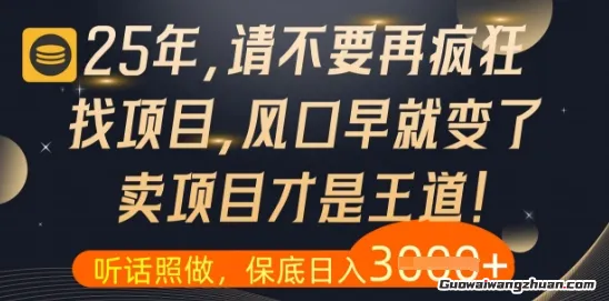 什么？25年你还在疯狂找项目做，醒醒吧，看完这些你全都懂了【揭秘】