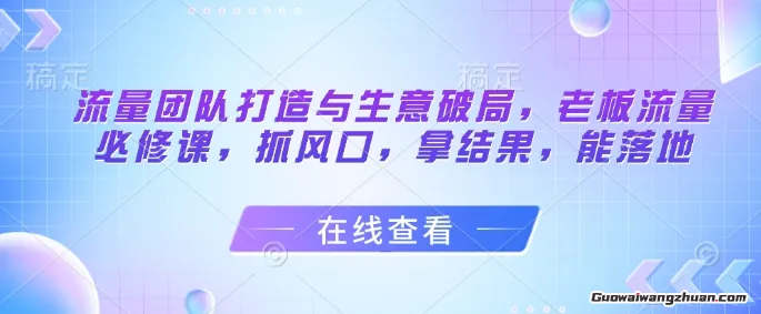 流量团队打造与生意破局，老板流量必修课，抓风口，拿结果，能落地