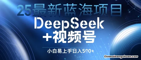 蓝海项目DeepSeek+视频号，小白易上手日入几张