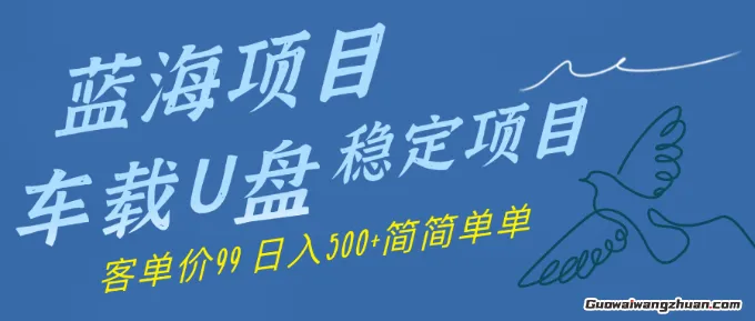 蓝海项目车载U盘稳定项目，挣的就是信息差，客单价99，日入几张简简单单