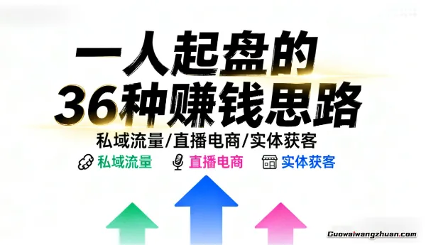 一人起盘的36种赚钱思路,私域流量/直播电商/实体获客