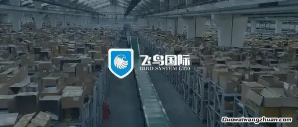 海外仓选不好，卖家两行泪：飞鸟的破局三板斧