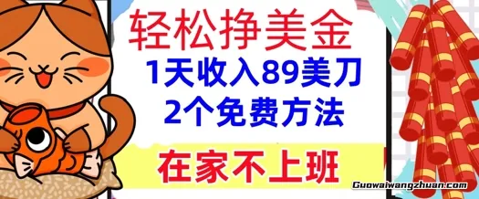 在家不上班，轻松挣美金，1天收入89美刀，2个免费方法，懒人捡钱