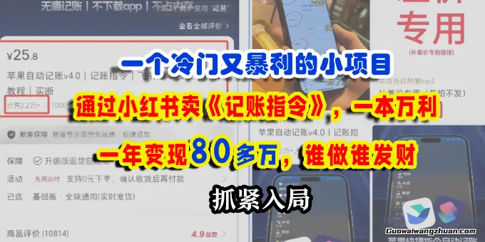 卖手机记账指令，一个冷门又曝利的项目，一年变现80个【项目解析】