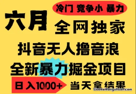 高爆抖音无人直播撸音浪掘金项目，小白可做，无脑日入1k+ 门槛低可批量矩阵【揭秘】